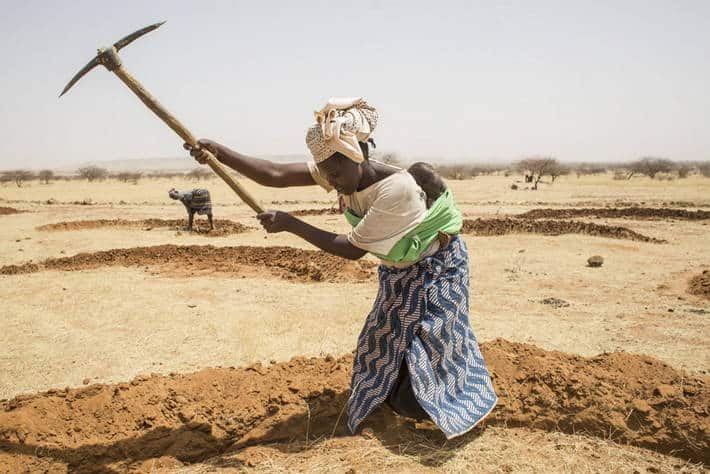 Foncier :  L’Afrique, continent le plus touché par les achats agricoles