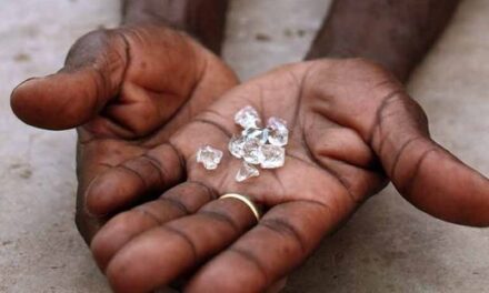 Vers une transformation des diamants « locaux »