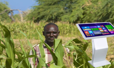 Ethiopie : SXNet, le couteau suisse digital de BelCash Group aux agriculteurs
