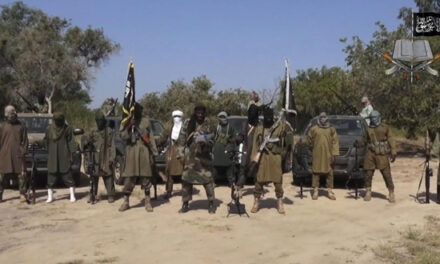 Nigéria: Nouvelle reconfiguration de l’État islamique dans le bassin du lac Tchad ?