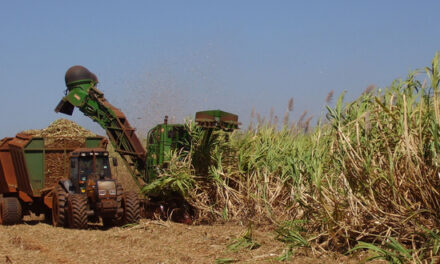 Éthiopie: Augmenter la production de sucre pour réduire les importations