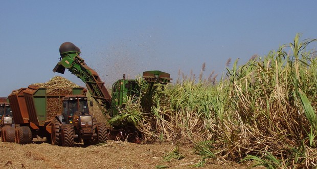 Éthiopie: Augmenter la production de sucre pour réduire les importations