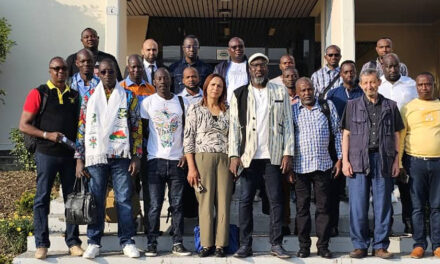 Fluides frigorigènes inflammables: Session de formation de frigoristes Africains en Italie