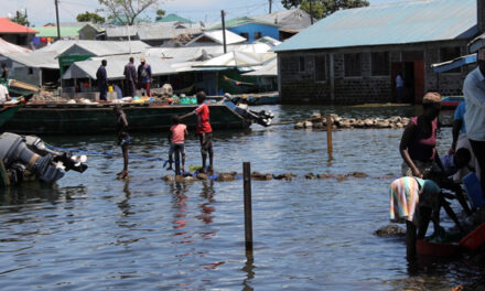 Ouganda: La montée des eaux du lac Victoria sème la panique chez les pêcheurs
