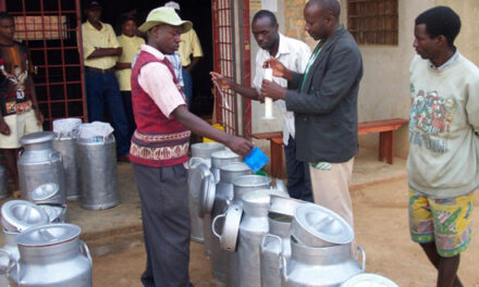 Ouganda-Kenya: La guerre du lait aura-t-elle lieu ?